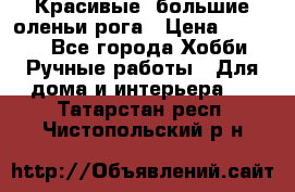 Красивые  большие оленьи рога › Цена ­ 3 000 - Все города Хобби. Ручные работы » Для дома и интерьера   . Татарстан респ.,Чистопольский р-н